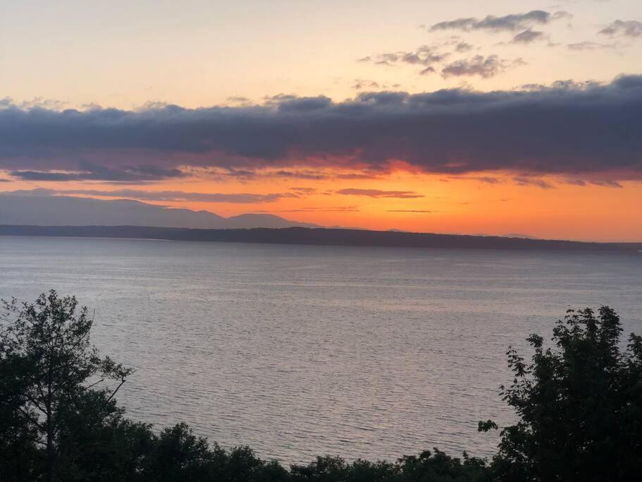 1-Bedroom Seaview Guesthouse On Seattle Luxury Estate With Views Of Olympic Mountains Exteriör bild