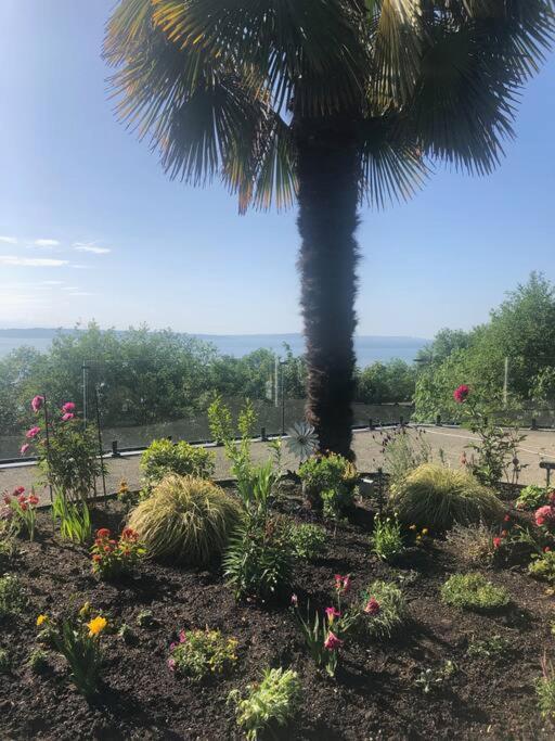 1-Bedroom Seaview Guesthouse On Seattle Luxury Estate With Views Of Olympic Mountains Exteriör bild