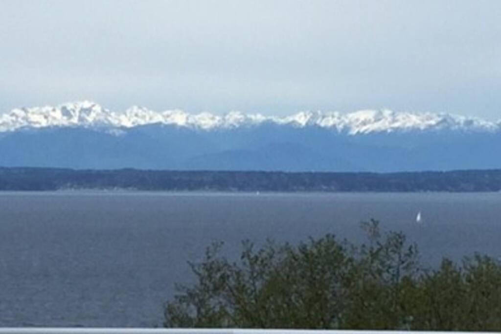 1-Bedroom Seaview Guesthouse On Seattle Luxury Estate With Views Of Olympic Mountains Exteriör bild