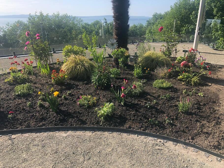1-Bedroom Seaview Guesthouse On Seattle Luxury Estate With Views Of Olympic Mountains Exteriör bild