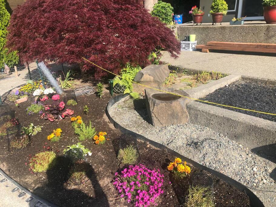 1-Bedroom Seaview Guesthouse On Seattle Luxury Estate With Views Of Olympic Mountains Exteriör bild
