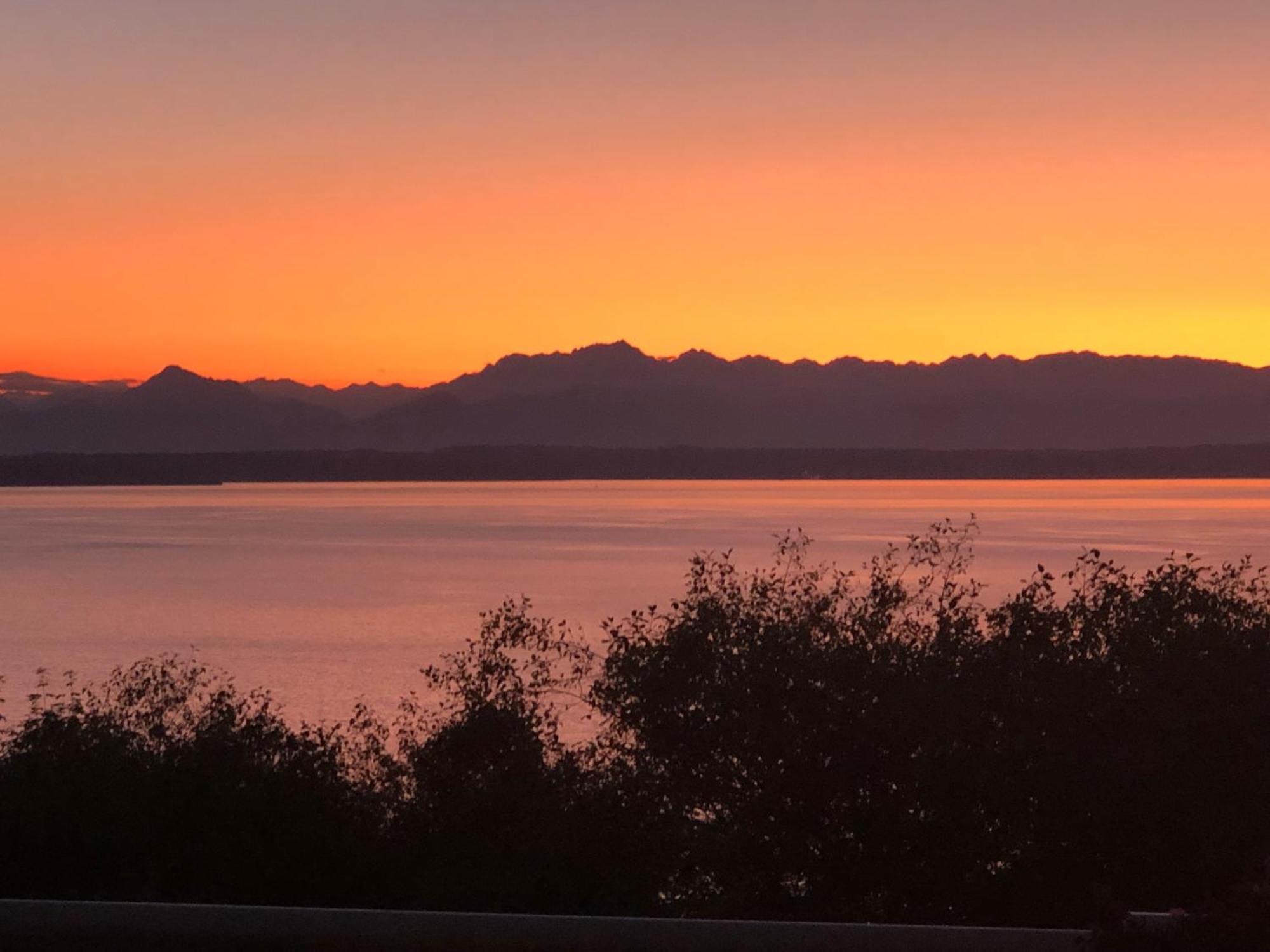 1-Bedroom Seaview Guesthouse On Seattle Luxury Estate With Views Of Olympic Mountains Exteriör bild